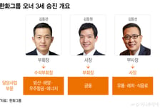 한화 3형제 동반 승진… '수석부회장 김동관 시대' 공식화