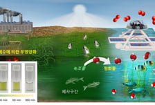 KIST, 햇빛만으로 녹조 잡는 '무전원 자율 수상 로봇' 세계 최초 개발