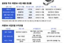 내비에 울고 OS에 웃고…자동차 SW '돈 버는 법' 달라졌다