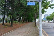 "길 찾기 척척, 안전도 쑥쑥" 고양시 도로명판 231개 신설