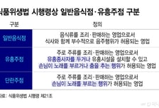[단독]선 넘은 '메이드카페' 칼 빼들었다…'유흥주점'으로 분류 검토
