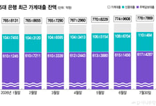 5대 은행, 주담대 11개월만에 최대폭 증가…"8월 더 큰 폭 확대 전망"