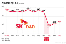 상장주식 240% 유증에 SK디앤디 소액주주, 회사와 대립
