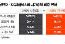 비중 무려 51%, "삼전닉스피" 이 말까지 나왔다...변동성 커진 이유