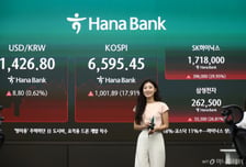 현금 3000만원 없어서 못 샀나…60% 폭등했는데 레버리지 거래 '뚝'