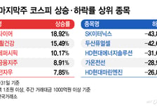 롤러코스터 한 주…실적 좋은 종목만 살았다[김근희의 증시랩업]