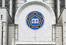 "새끼 까마귀 불쌍해" 집에 데려와 키웠다가...법정 선 40대