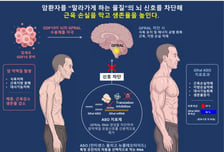 암 환자 말라가게 하는 '뇌 신호' 뿌리부터 차단한다