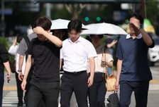 경남 양산 '42.5도' 신기록...'극한 폭염' 수도권 덮친다