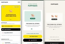 SF34, '번지 AI 3.0' 출시…시장 분석부터 프로토타입까지 AI가 척척