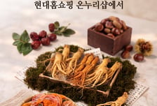 현대홈쇼핑, 현대H몰에 '경동시장 스토어' 입점