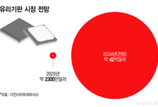 '플라스틱으론 AI 칩 못 견딘다'..中BOE까지 6조 '유리기판' 시장 참전