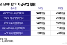 "역대급 롤러코스피, 대피하자"...MMF에 1.4조 몰렸다