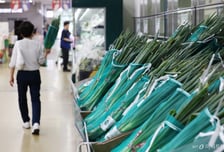 폭염 속 농축산물 물가 0.5%↑…축산물 전년 대비 4.4% 상승
