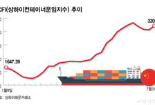 홍해 사태 이후 최고점 찍은 해운운임…공급과잉 현실화되나