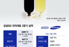 AI 반도체 시장 공략 나선 삼성SDI..국내 첫 SOH 상용화 20년