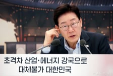 "핵심 광물 공급망 확충해야"…李, 광해광업공단 역할 검토 주문