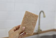 수세미에 살모넬라·대장균 '그득'...미생물학 교수 "매일 바꿔야"