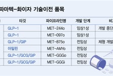 디앤디파마텍, 화이자 비만약 개발 중단에 주춤…"후속 제품 협업 여전"
