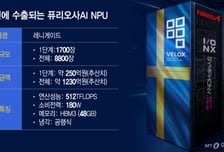 "유럽 데이터센터에 토종 반도체 깔린다"...퓨리오사AI, 8800장 공급