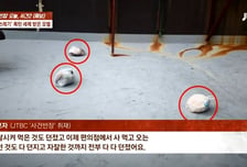 떡볶이 용기·치킨 상자 '휙'...이웃 옥상에 '쓰레기 폭탄' CCTV에 딱 걸렸다