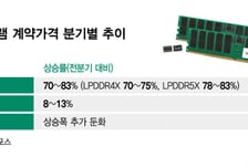 모바일 D램 가격 '숨 고르기'.."최대 13% 오르지만 상승폭 둔화"