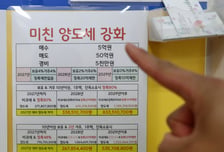 "56억집 양도세, 7억 아껴"...장특공제 축소에 '절세' 이런 방법까지