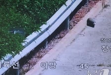 창녕 고속도로 갓길서 포탄 발견에 6㎞ 정체…알고 보니 모의탄