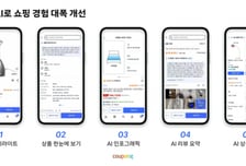 "상품 특징 요약해줘"...쿠팡, AI로 쇼핑 지원 강화