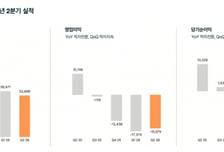 데브시스터즈 2분기 영업손실 160억원…적자전환