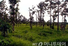 세계 식품가격 3년 만에 최고…전쟁·폭염에 밀값 급등