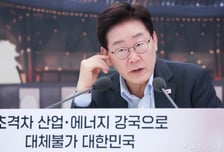 국민의힘 "李정권 관치금융에 도박장 증시 전락…즉각 국정조사해야"