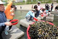 벌써 몇 번째? 가평 계곡서 다슬기 잡던 60대 여성 사망