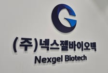 주사 한 번으로 골재생 돕는다…넥스젤바이오텍, 40억 R&D 실탄 확보