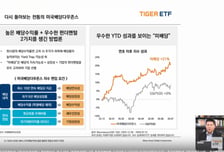 "코스피 200 지수, 고점 대비 30% 급락…해외로 시선 돌릴 때"