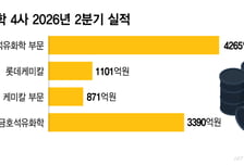 깜짝 흑자에 "살아나나" 했는데…석화업계 "하반기 번 돈 다 잃을 수도"