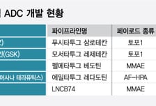 리가켐바이오, '화이자 중단' B7-H4 ADC 임상 가속…승부수 통할까