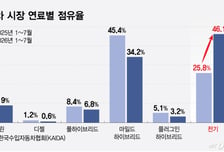 수입차 시장 대세는 EV… 日 뚫은 中, 맹공 이어간다