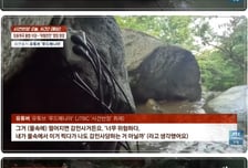 아이들도 노는 계곡 바위에 '220V 콘센트'...장흥계곡 '아찔한 영업'