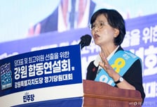 임미애 "홍명보에 또 감독 맡길 건가…정청래, 권력과 싸울 때만 돋보여"