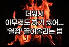 [곰국툰] 죽은 '열정 세포' 되살리는 법