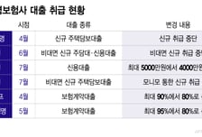조여도 늘어나는 보험사 대출…약관대출 더 조이면 '해약' 딜레마