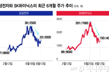 "270층에서 구조대 기다려"…삼전닉스 팔까말까