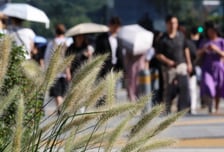 [오늘 날씨] 출근길 '선선'…낮 기온 34도까지 올라