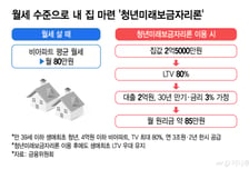 "청년들 월세 낼 돈으로 오피스텔 사라"…2.5억짜리 사면 2억 빌려준다