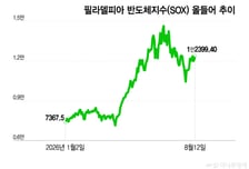 美 반도체주, 저점 대비 19% 반등…강세장 복귀 앞두고 주의할 점