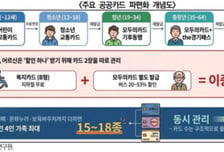 경기연구원 "경기패스·기후동행·복지카드 하나로 합치자"