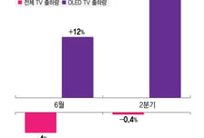 2분기 TV 시장서 OLED '나홀로 질주'…LG전자 점유율 절반 이상