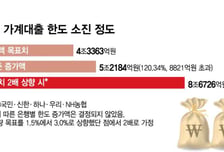 총량규제 1.5→3%에도 'KB 3억 제한' 유지...은행권 신중한 이유