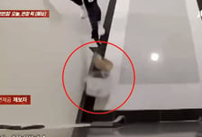"주문한 케이크 다 망가져"...CCTV 봤더니 배달기사가 발로 '휙휙'